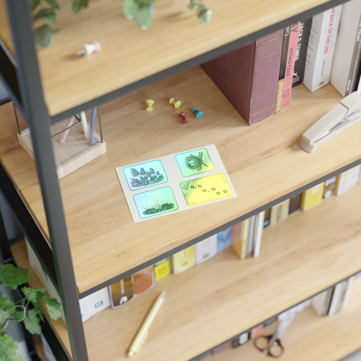 Vintage Field Guide Sticker Sheets - product photo 10