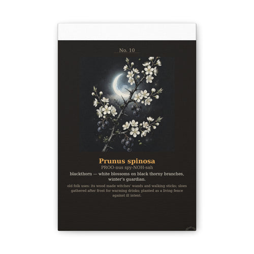 Apothecary of Thorns Canvas - Blackthorn No. 10 - product photo 2