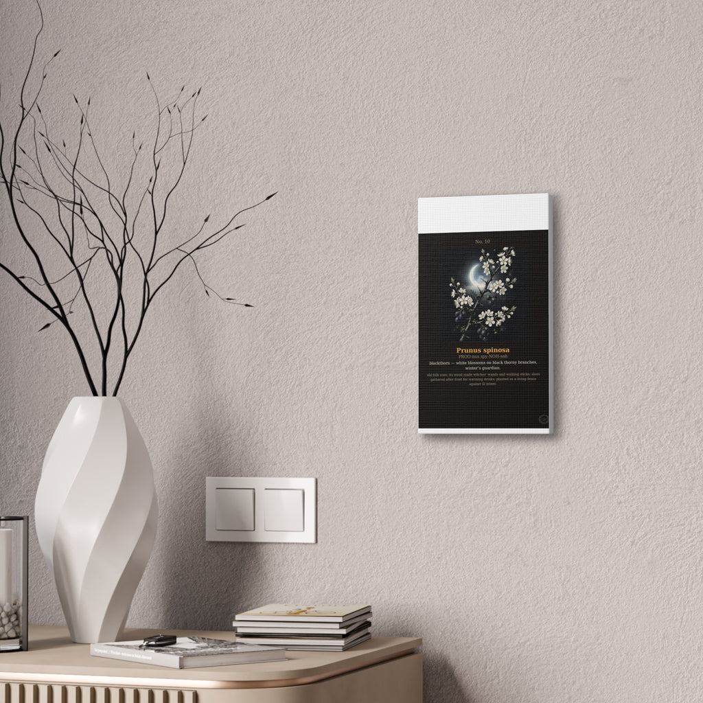 Apothecary of Thorns Canvas - Blackthorn No. 10