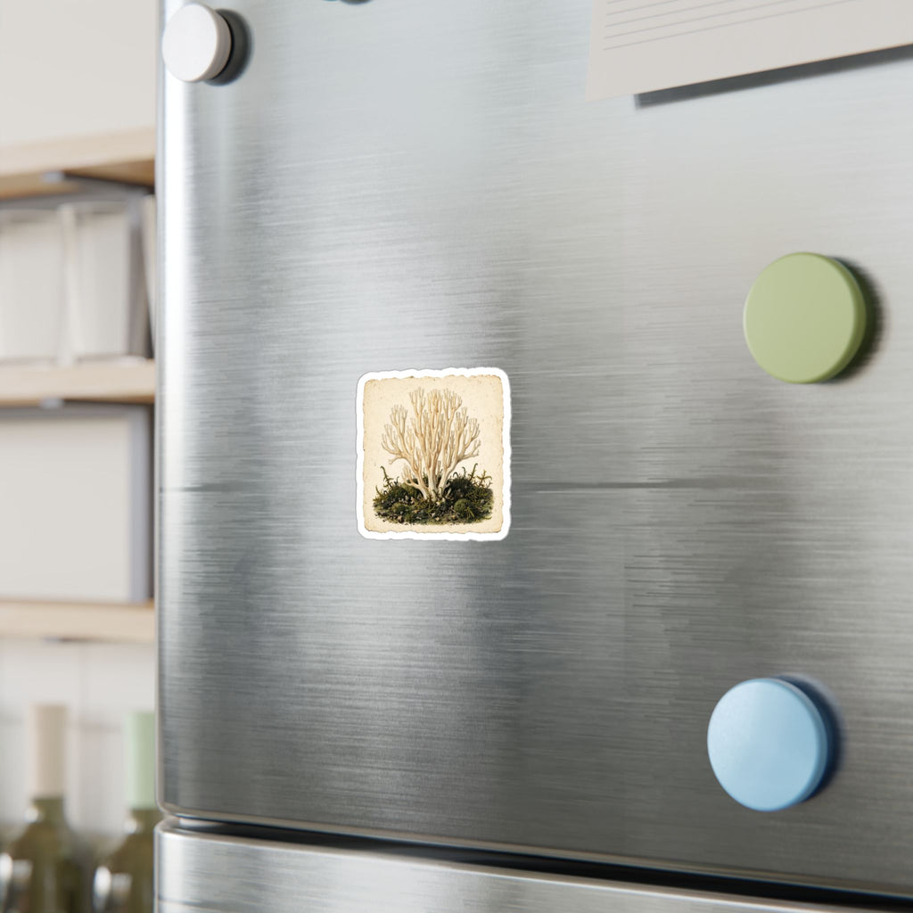 Apothecary of Thorns Herbanium Sticker - product photo 6