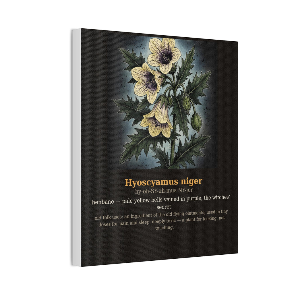 Apothecary of Thorns Canvas - Henbane No. 8