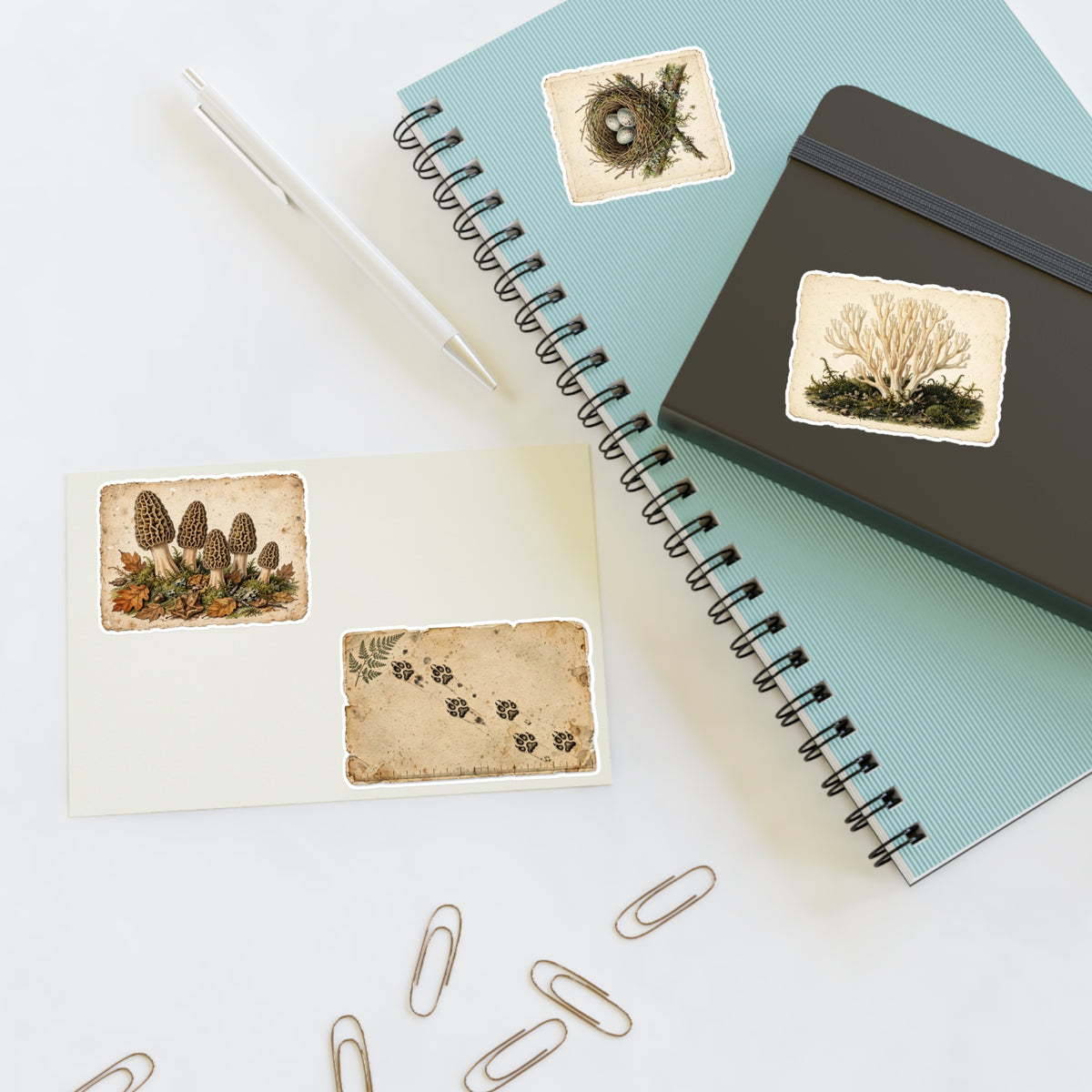 Vintage Field Guide Sticker Sheets - product photo 6