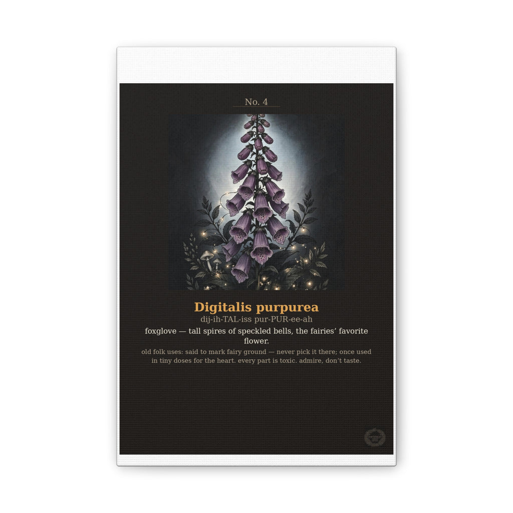 Apothecary of Thorns Canvas - Foxglove No. 4 - product photo 2