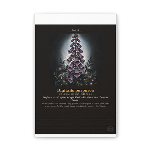 Apothecary of Thorns Canvas - Foxglove No. 4 - product photo 2