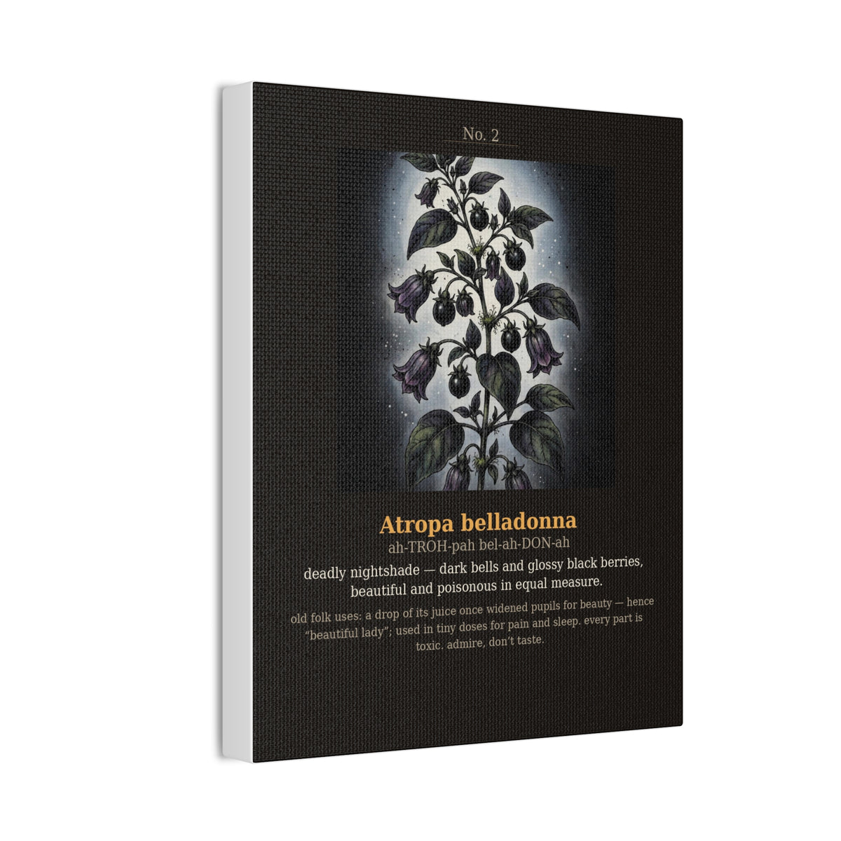 Apothecary of Thorns Canvas - Nightshade No. 2 - product photo 6