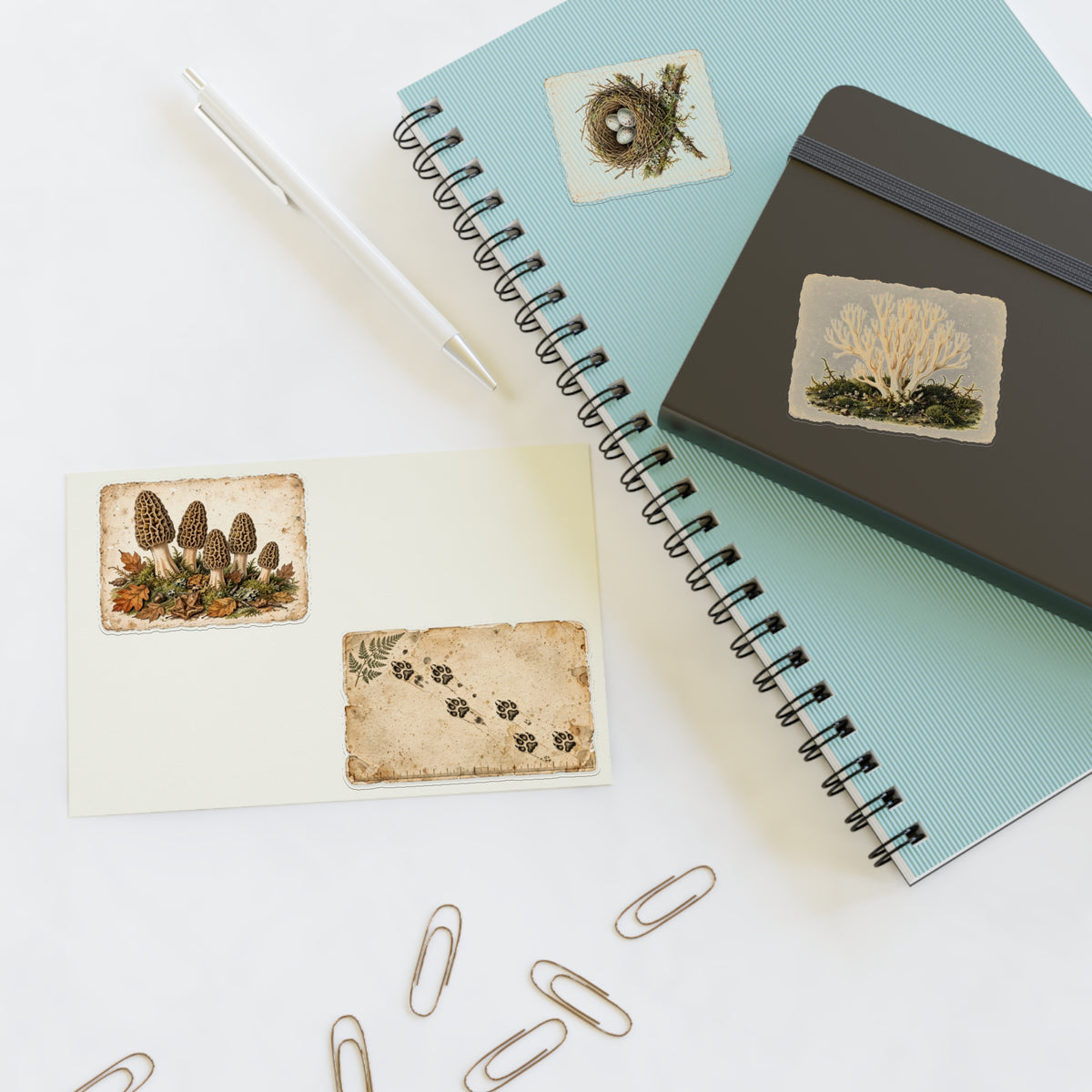 Vintage Field Guide Sticker Sheets - product photo 9